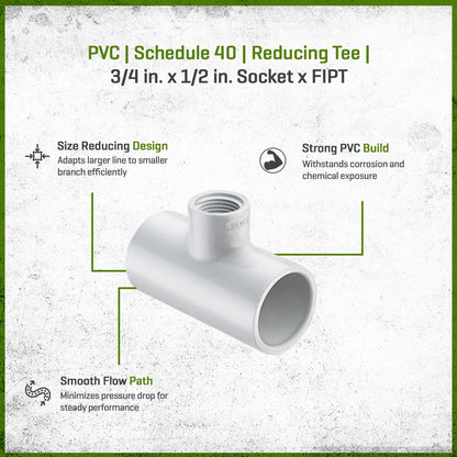 Sch 40 PVC Reducing Tee 3/4 in. x 1/2 in. Socket x FIPT