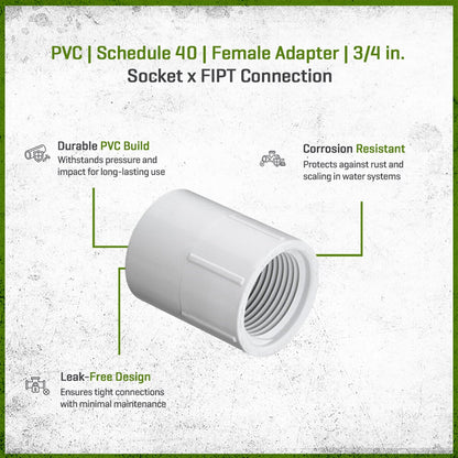 435-007 Sch 40 PVC Female Adapter 3/4 in. Socket x FIPT | Spears