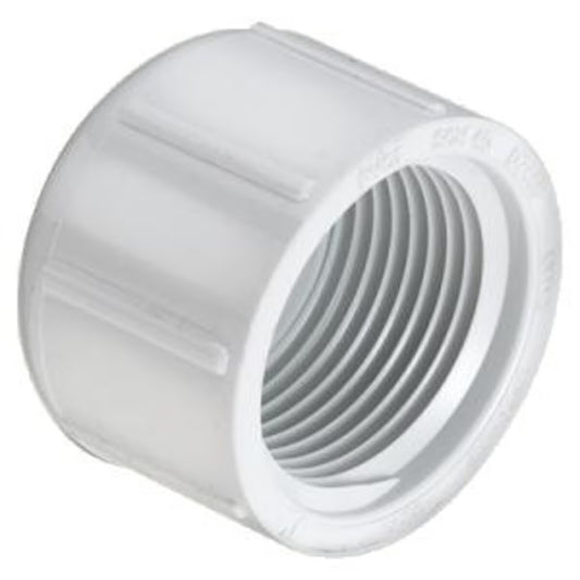 Sch 40 PVC Cap 1/2 in. FIPT