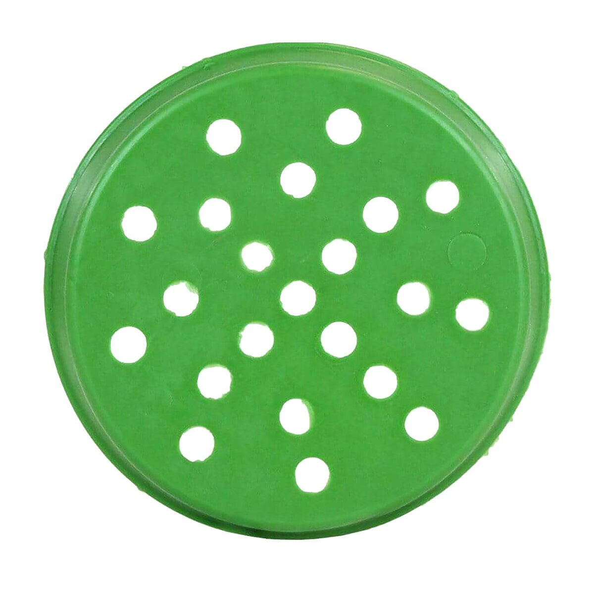 ADS Perforated Internal End Plug 4 in.