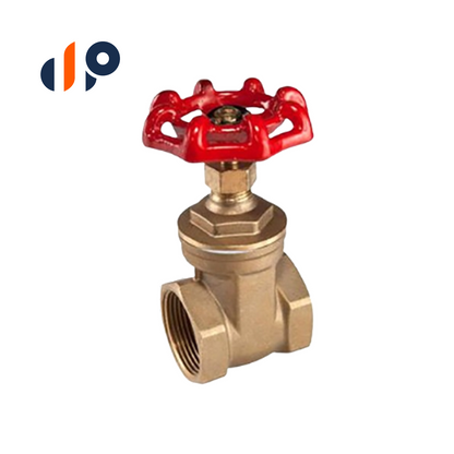 IOGV040 Import O-Ring Gate Valve 4 in.