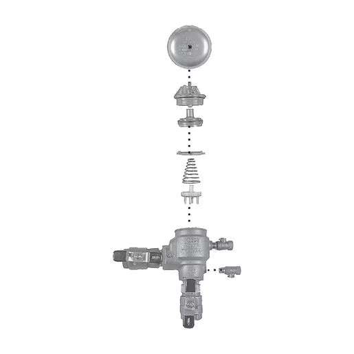 765 Canopy 1-1/2 - 2 Brass Febco