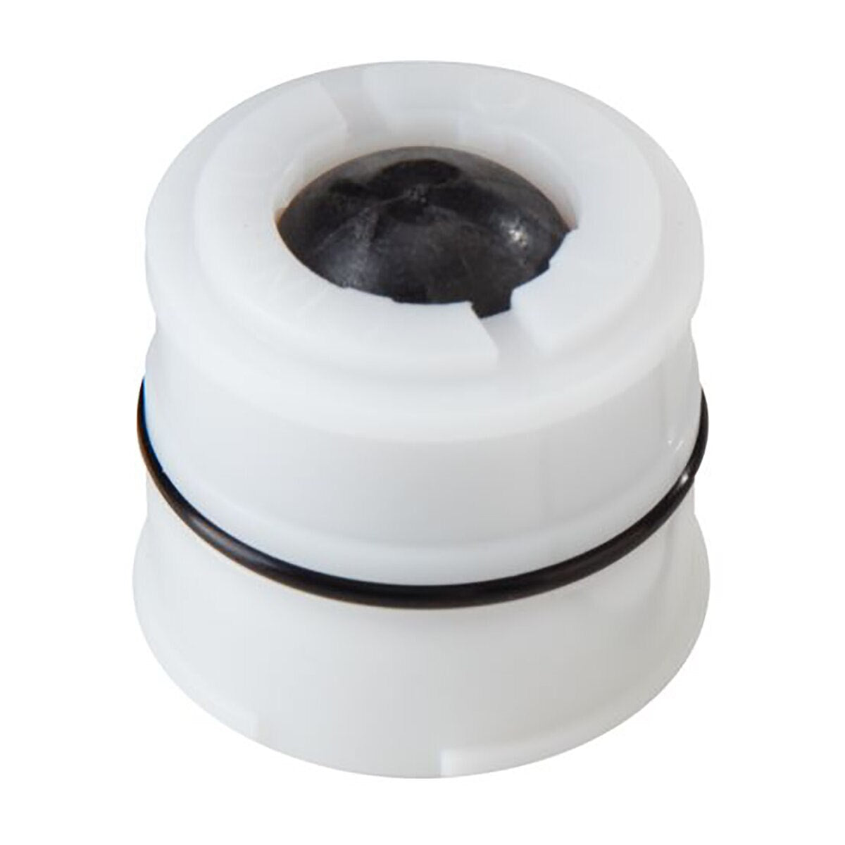 Watts RK 009M2-CK1 3/4 Check Repair Kit
