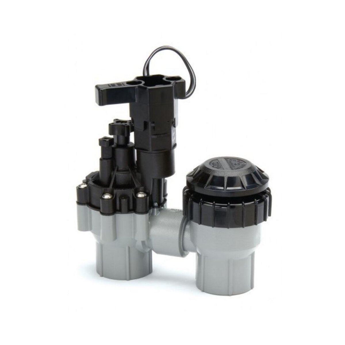 Rain Bird ASVF PVC Anti-Siphon Valve 1 in. FIPT with Flow Control
