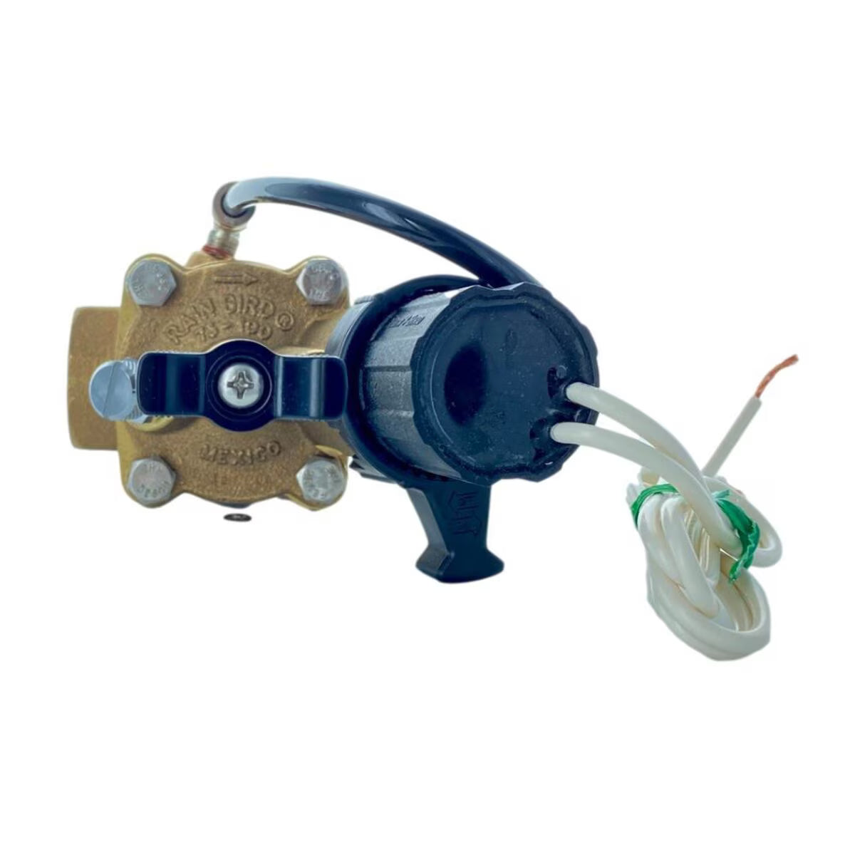 Rain Bird EFB Contamination Proof Valve Brass 1 in. w/ Flow Control FIPT x FIPT