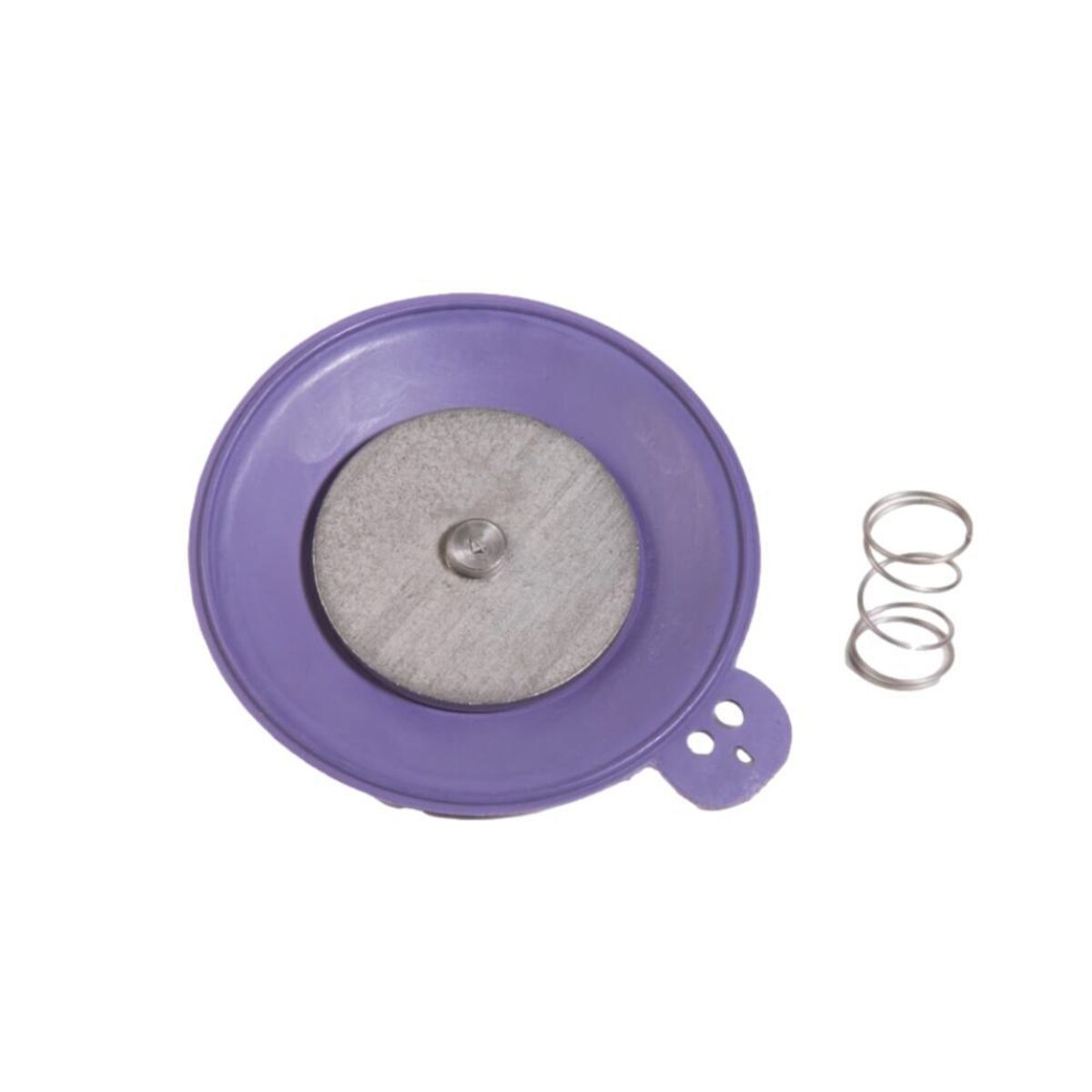 Rain Bird Diaphragm Assembly for 200EFA