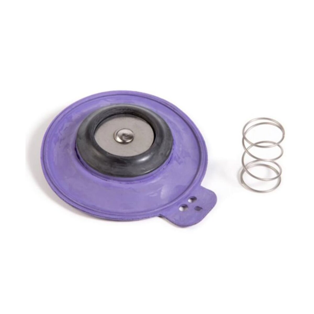 Rain Bird Diaphragm Assembly for 150 EFA and GB Valves