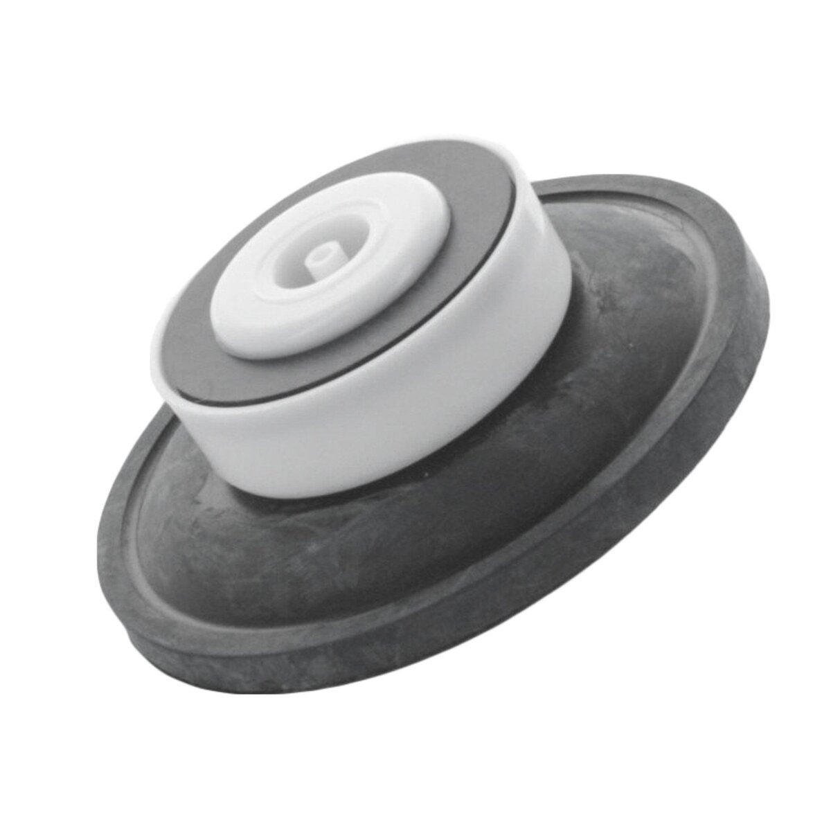 Toro Diaphragm Assembly 1 in. for 250 252 and 260