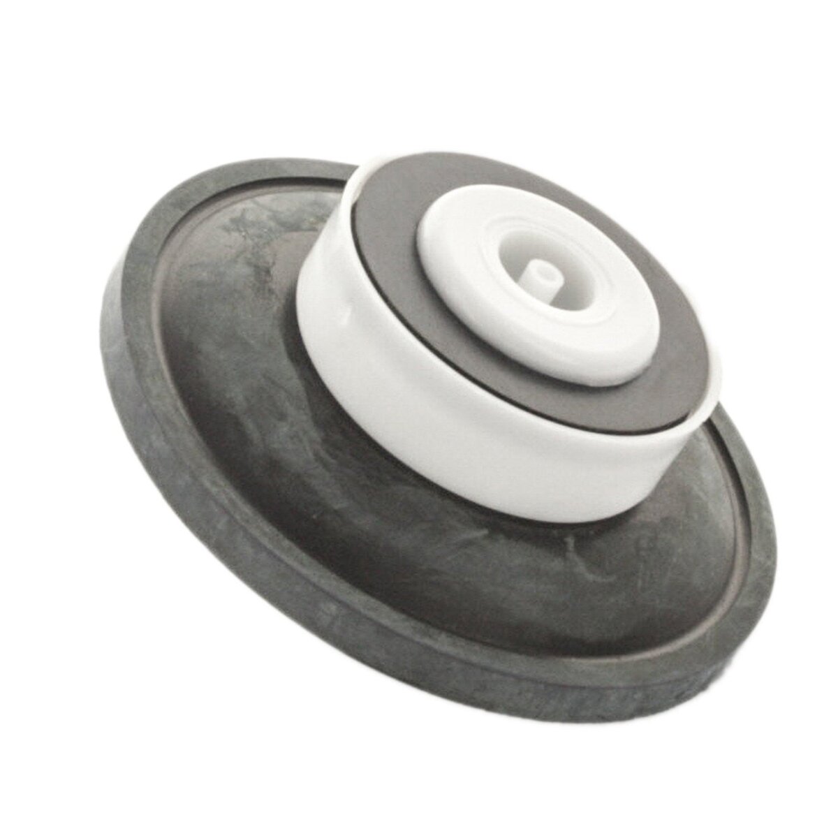 Toro Diaphragm Assembly 1 in. for 250 252 and 260