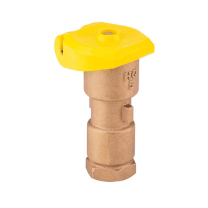 Hunter Quick Coupling Valve 1 in. FIPT Inlet 1-Piece Body 2-Slots with Yellow Rubber Locking Cover