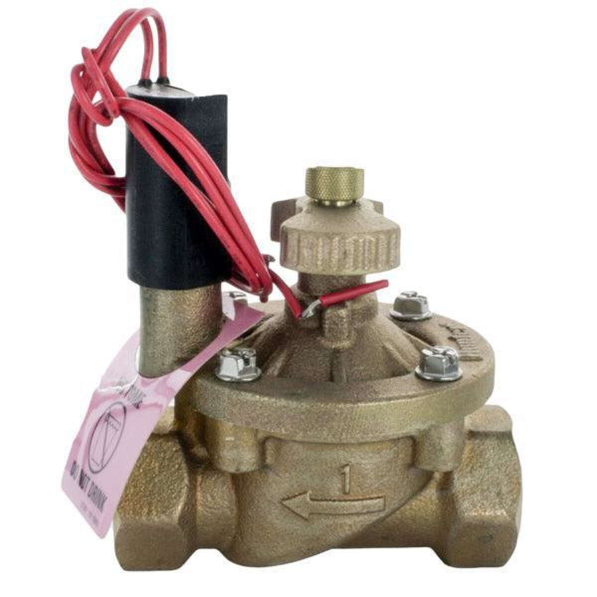 Hunter Globe Valve IBV Brass 1 in. w/ Flow Control and Filter Sentry FIPT x FIPT