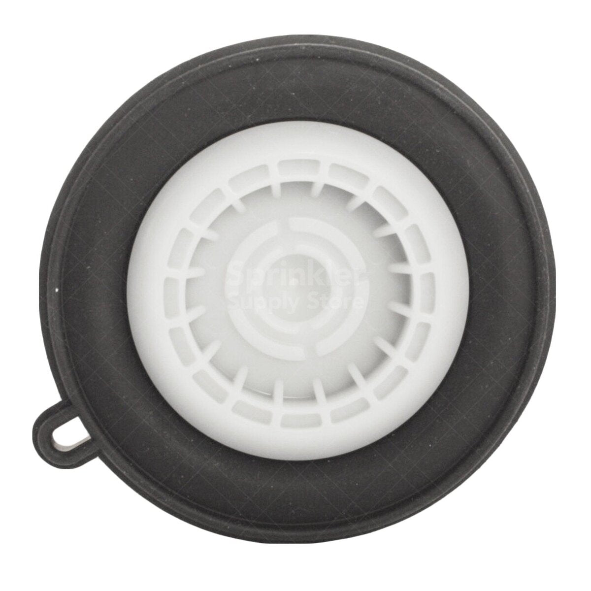 Hunter Diaphragm Assembly for PGV-201 2 in.