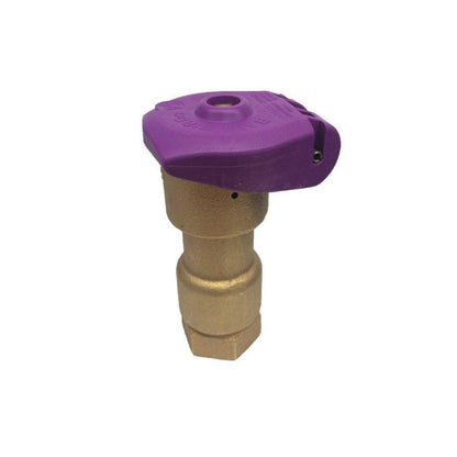 Rain Bird Quick Coupling Valve 1 in. FIPT Inlet 1 pc. Body with Reclaimed Purple Locking Cover
