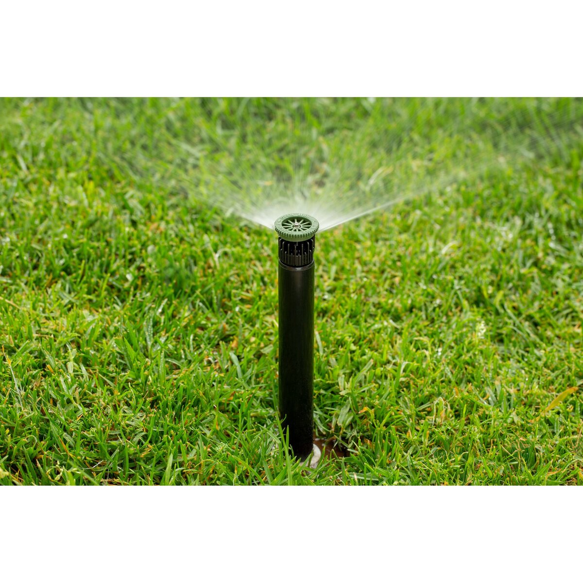 Hunter Pro High-Efficiency Nozzle 8 ft. Radius Adjustable Arc from 0 Degree to 360 Degree Female Thread