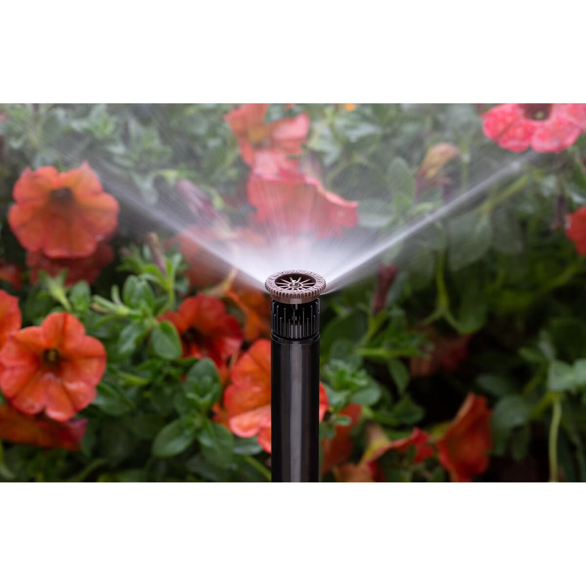 Hunter Pro High-Efficiency Nozzle 12 ft. Radius Adjustable Arc from 0 Degree to 360 Degree Female Thread