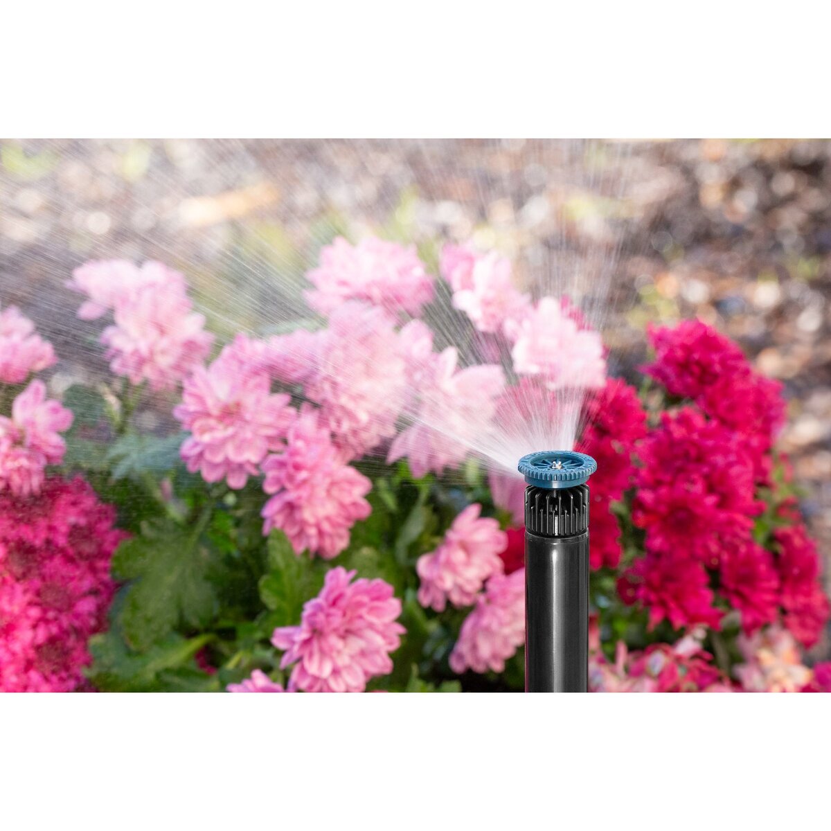 Hunter Pro High-Efficiency Nozzle 10 ft. Radius Adjustable Arc from 0 Degree to 360 Degree Female Thread