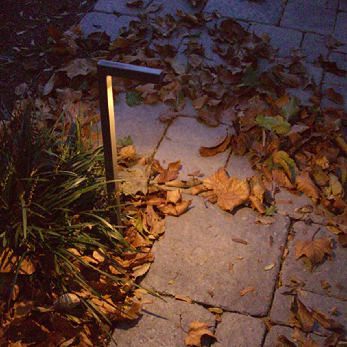 INTEGRAL PL24 Antique Brass Wedge Base Lamp