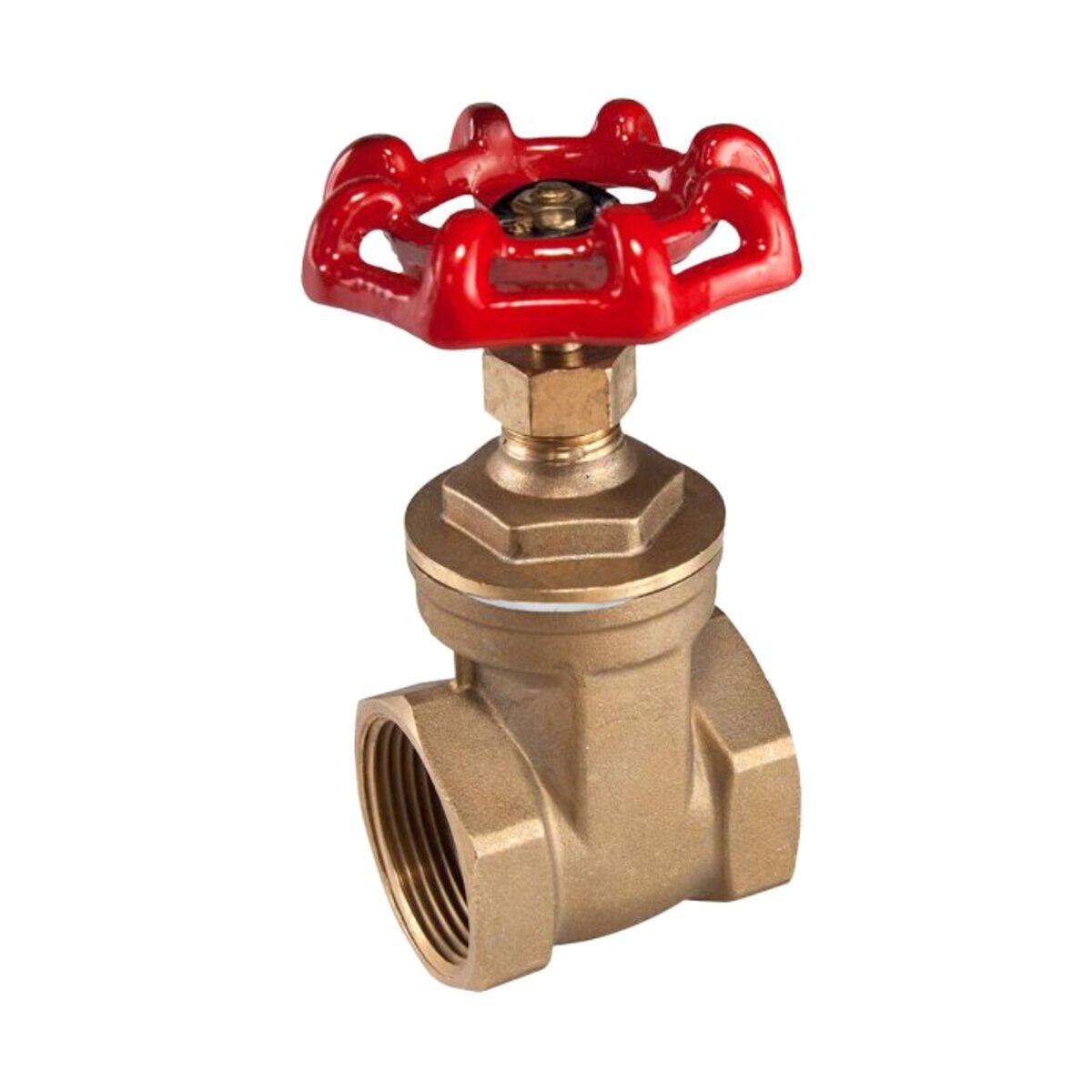 SOVAL 620-020SV   BR GATE VALVE IPS 2