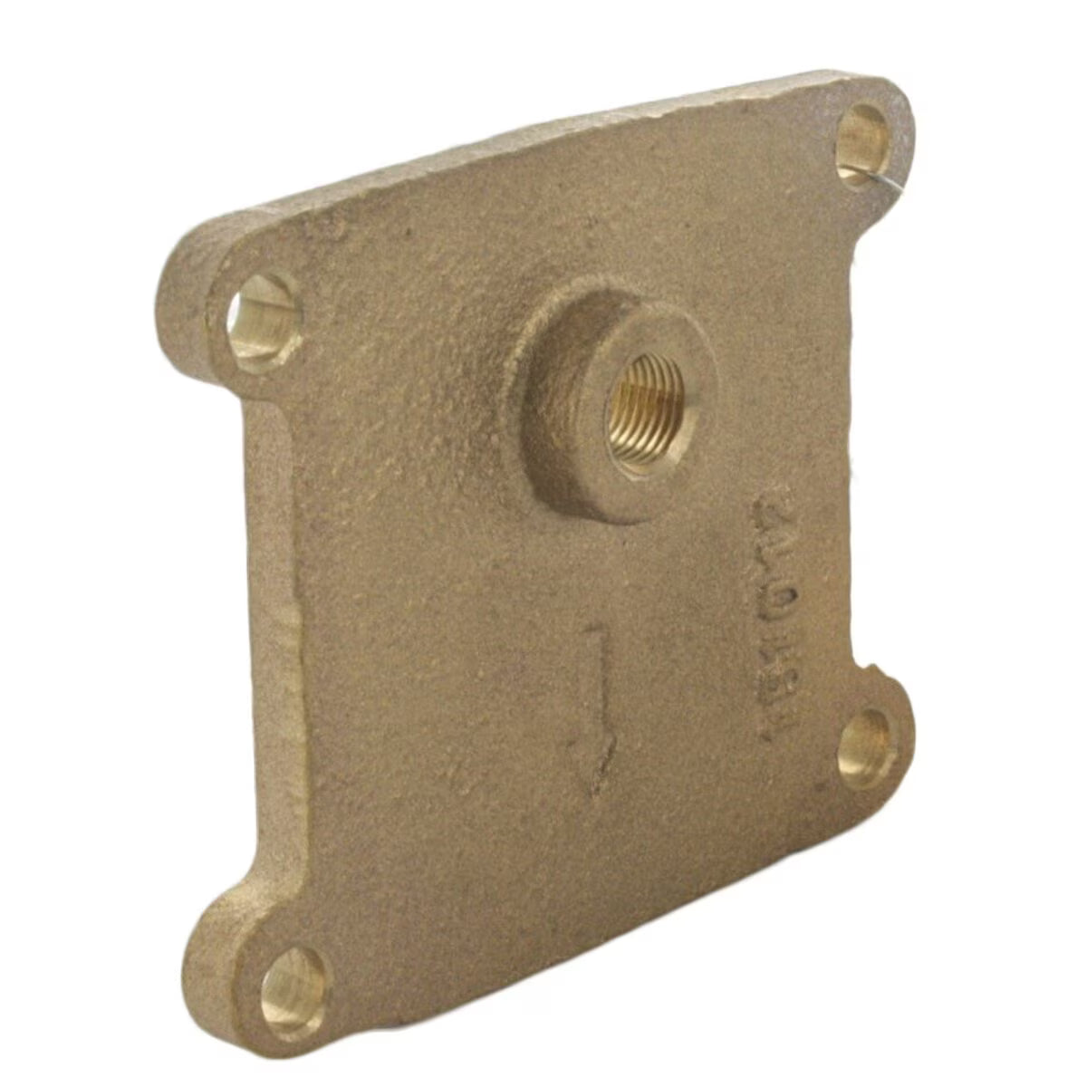 Febco Cover 1 in. 860