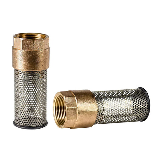 Flomatic 4101E  60SE Enviro Foot Valve 1 in.
