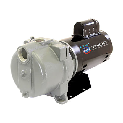 Pearl THOR Centrifugal Sprinkler Pump 2 HP