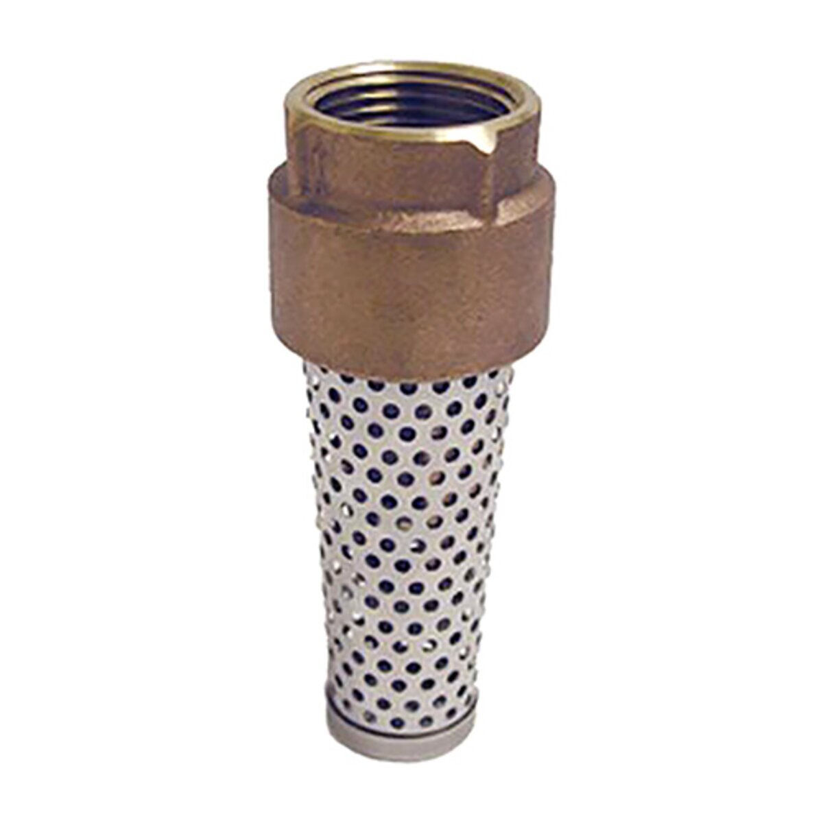 Foot Valve 1 in. Brass