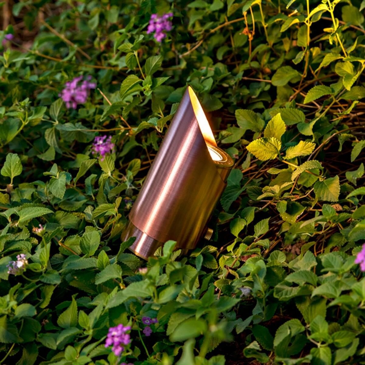 Denali Directional Light Chem Treated Brass NL-DENALI-DL-MR16-BR-BLK-NL