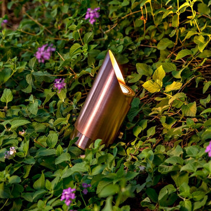 Denali Directional Light Chem Treated Brass NL-DENALI-DL-MR16-BR-BLK-NL