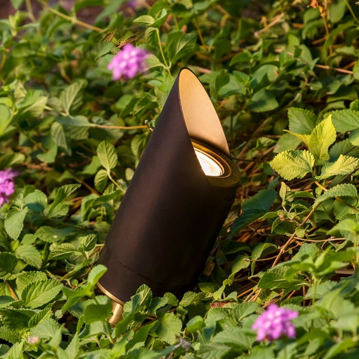 Denali Directional Light Chem Treated Brass NL-DENALI-DL-MR16-BR-BLK-NL