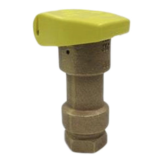 Buckner QCV100  Quick Coupling Valve 1 in. FIPT Inlet Single Slot with Stainless Steel Cover