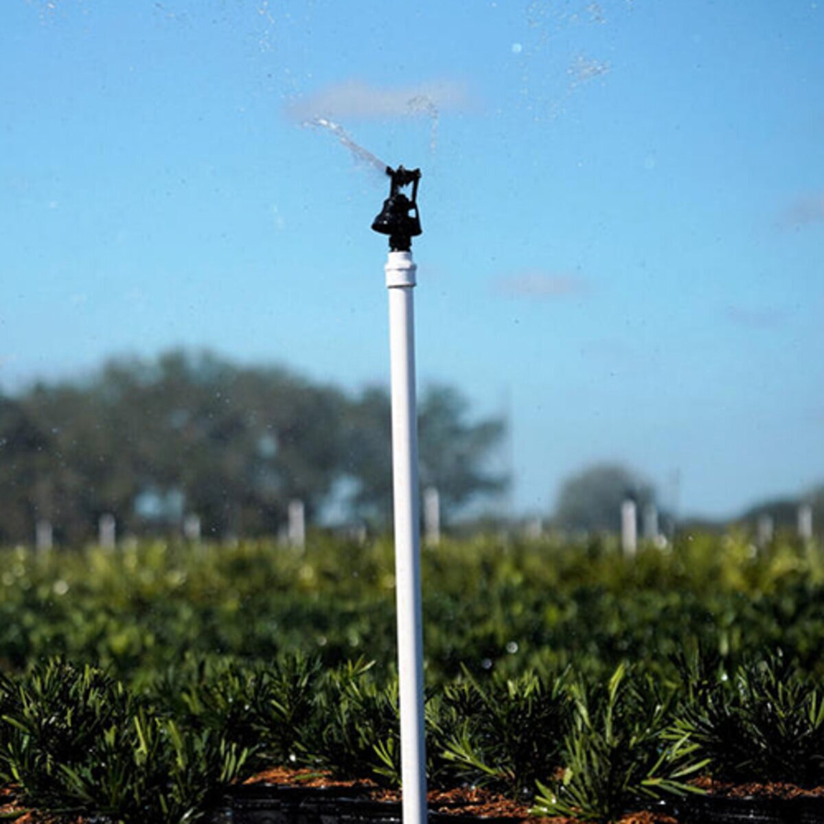 Senninger Nozzle Wobbler #07 3/4 in. Mpt 1.5 ft.