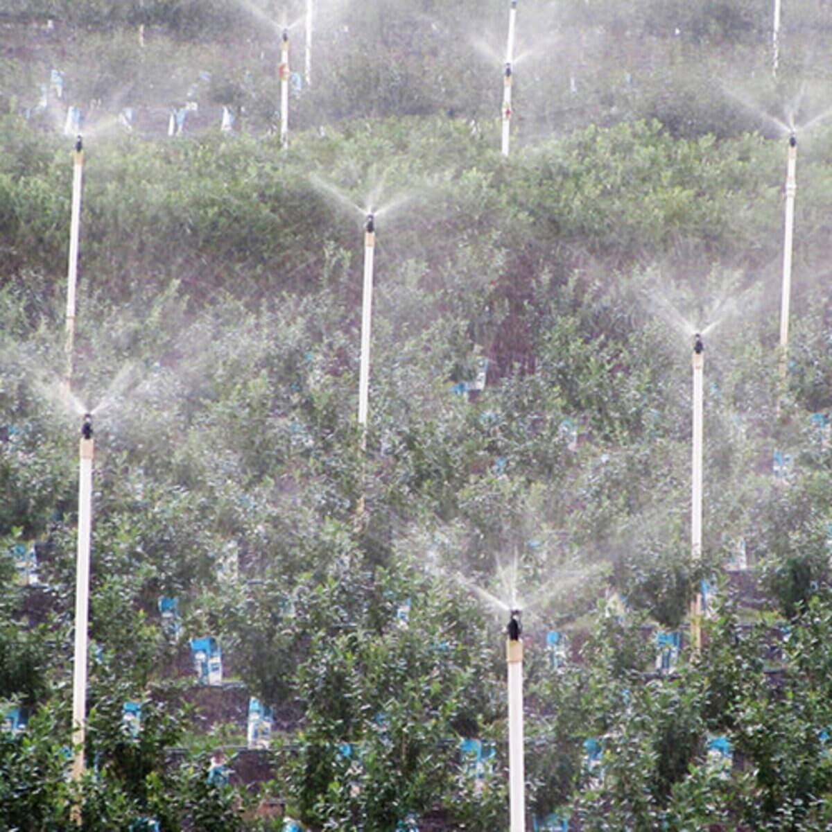 Senninger Nozzle Wobbler #07 3/4 in. Mpt 1.5 ft.