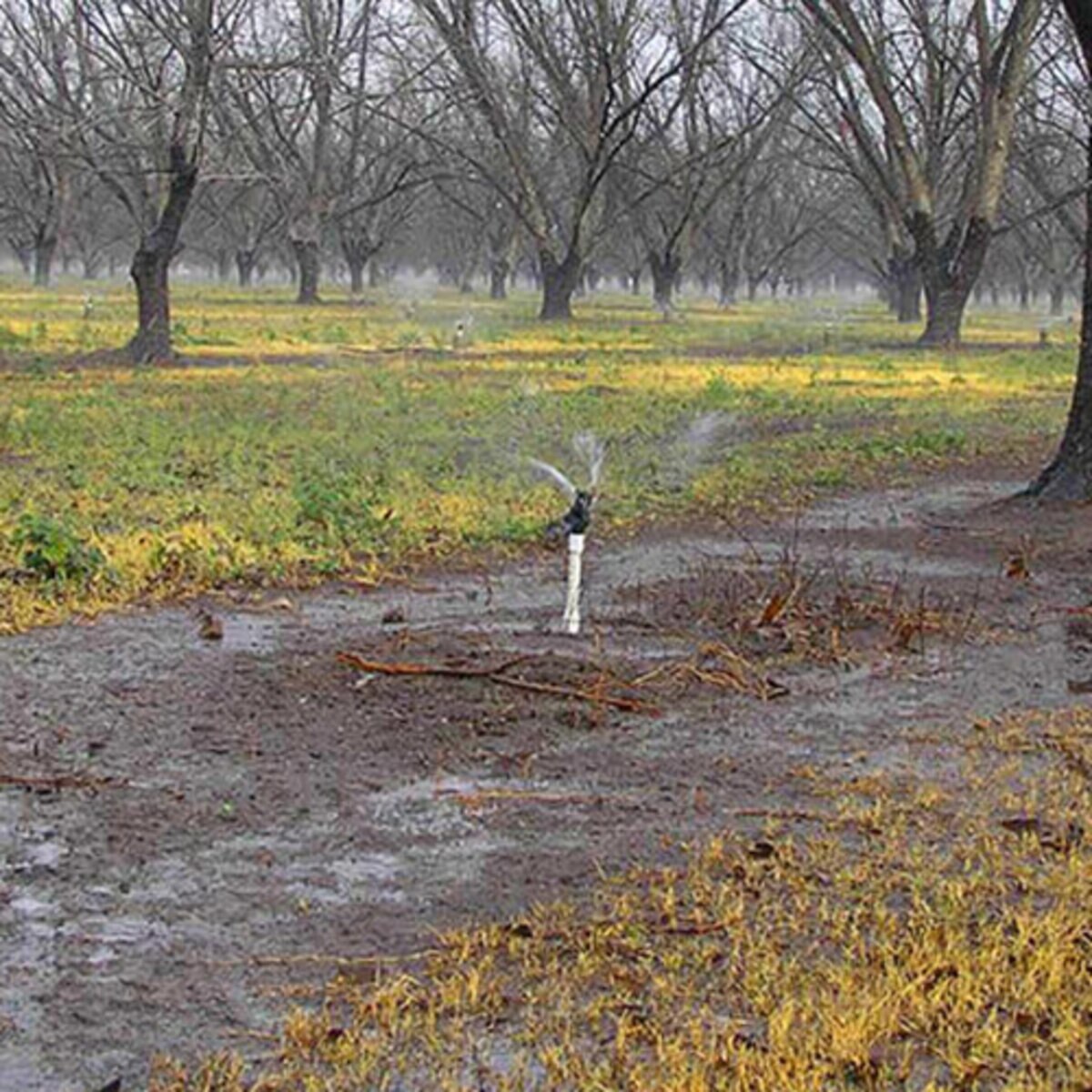 Senninger Nozzle Wobbler #07 3/4 in. Mpt 1.5 ft.