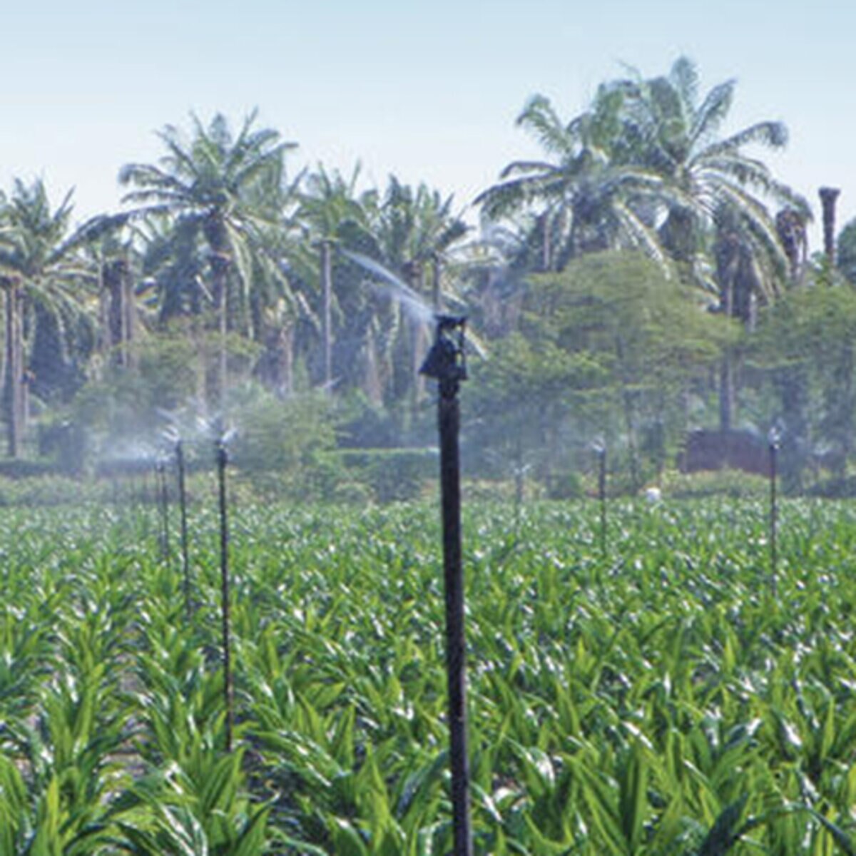 Senninger Nozzle Wobbler #07 3/4 in. Mpt 1.5 ft.