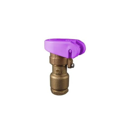 Rain Bird Quick Coupling Valve 1 in. FIPT Inlet 2-Piece Body Double Track Key Lug with Reclaimed Purple Locking Cover