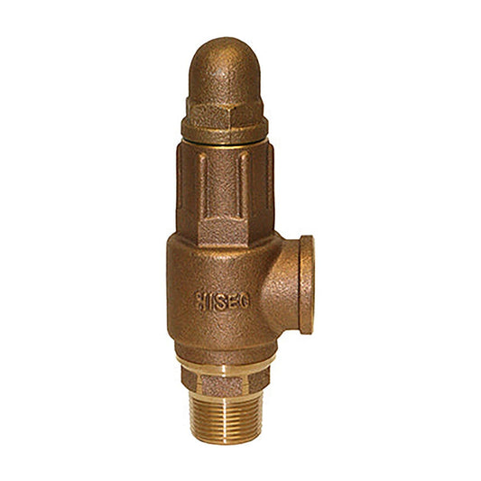 Merrill PRVHD100  Heavy-Duty Pressure Relief Valves Brass 1 in.