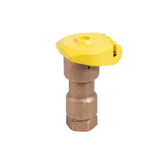 Rain Bird Quick Coupling Valve 1 in. FIPT Inlet 1 pc. Body with Locking Yellow Rubber Cover