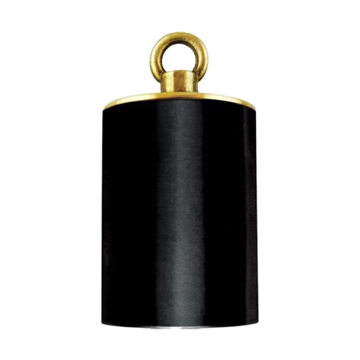 Brilliance-BRYCE-HDL-MR16-BR-BLK-NL- Bryce Hanging Downlight Black Brass MR16 Socket NL