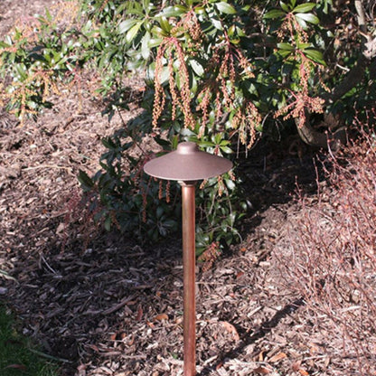CAST-CCPLCHBL- Lighting Craftsman Series Drop-In LED Path/Area Light, 18 in. Bronze Finish, 2.5W Warm White 2750K, 114 Lumens, Bi-Pin Lamp, 60 in. Lead Wire