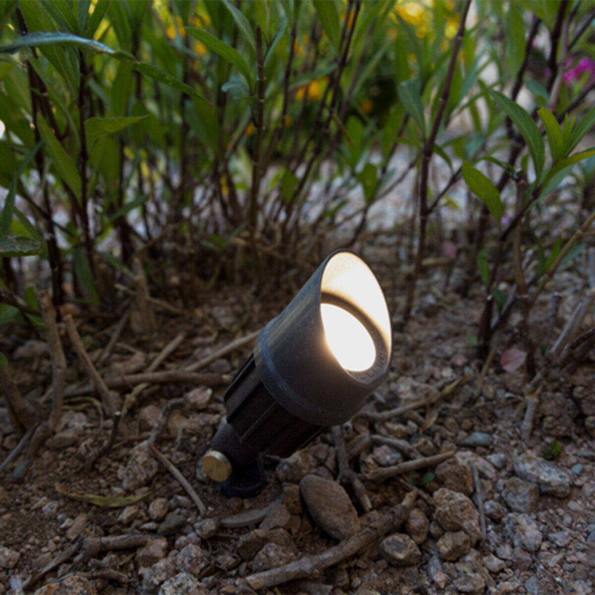 Brilliance -ORGANICS-MR16-CHAMELEON-Organics Bamboo Directional Light MR16 Chameleon LED