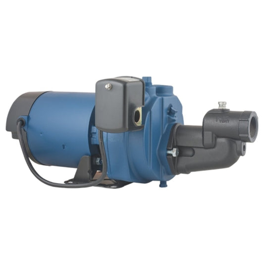 Flint & Walling Shallow Well Jet Pump EK 1 HP