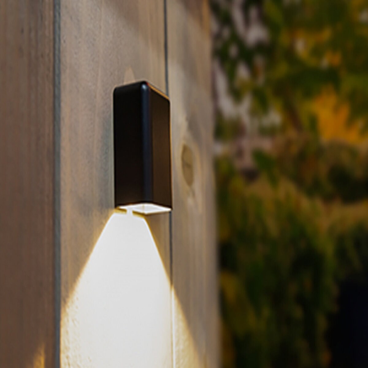 Guadalupe Wall Light Blackened Brass w/integrated 210lm, 300-GUADALUPE-3000-BR-BLK
