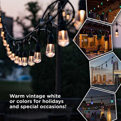 Jasco 66900 Pro Seasons Cafe Lights RGBW Remote Controlled 48 ft.