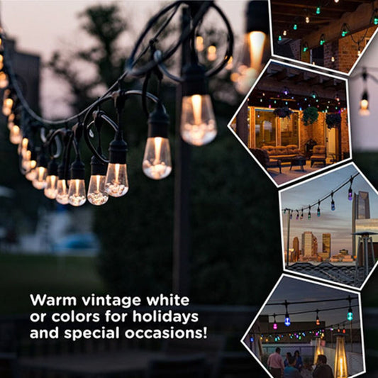 Jasco 66900 Pro Seasons Cafe Lights RGBW Remote Controlled 48 ft.