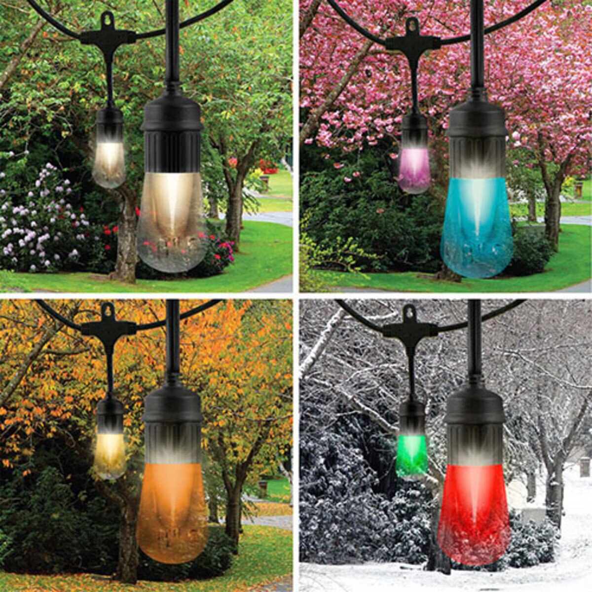 Jasco 66900 Pro Seasons Cafe Lights RGBW Remote Controlled 48 ft.