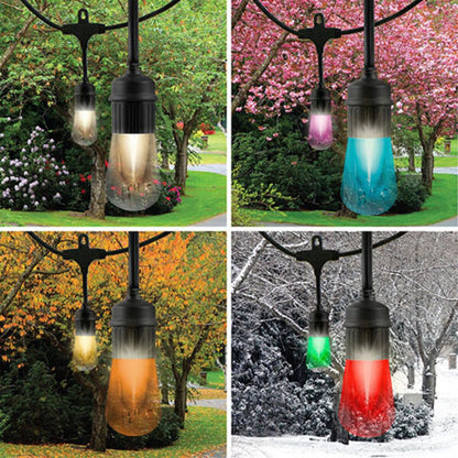 Jasco 66900 Pro Seasons Cafe Lights RGBW Remote Controlled 48 ft.