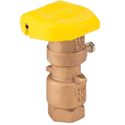 Hunter Quick Coupling Valve 3/4 in. FIPT Inlet 2 pc. Body 2-Slots with Yellow Rubber Cover