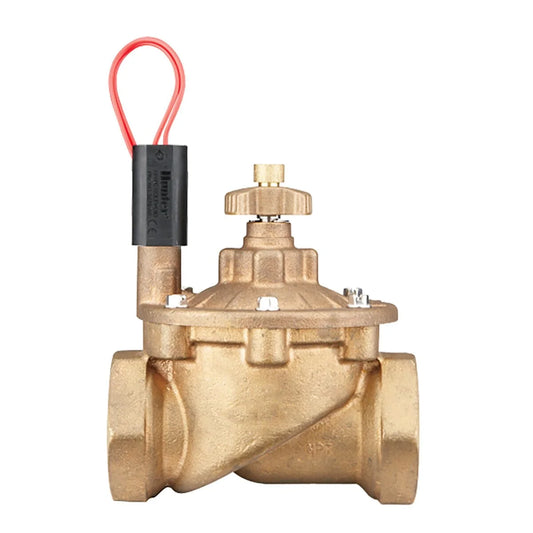 Hunter Globe Valve IBV Brass 2 in. w/ Flow Control and Filter Sentry FIPT x FIPT | IBV201GFS