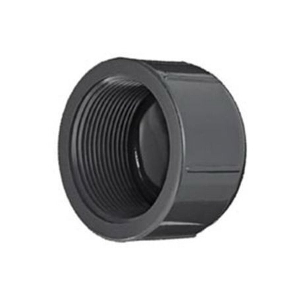 Spears Manifold Cap 1 in. FIPT with O-Ring