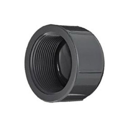 Spears Manifold Cap 1 in. FIPT with O-Ring